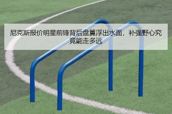 尼克斯报价明星前锋背后盘算浮出水面，补强野心究竟能走多远